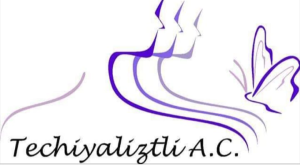 Colectivo Techiyaliztli A.C.